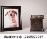 Small photo of urn with a puppy print, on it, a colorful leash, next to it a photograph of the puppy. White background