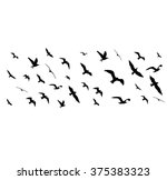 Flying Birds Silhouettes On...
