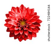 surreal dark chrome red flower... | Shutterstock . vector #722484166