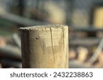 Small photo of Abstract photograph of a section of a wooden stake. Wooden stake, cut. Wood, natural material, blurred background, cut.