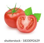 Vegetable composition  tomatoes ...