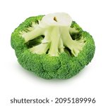Fresh green broccoli isolated...