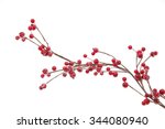 Christmas branch with red berries isolated on a white