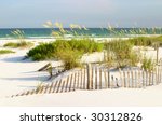 Florida Beach  Sand Dunes And...