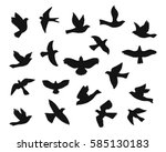 Set Of Bird Flying Silhouettes. ...