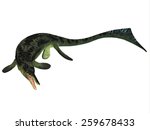 Cymbospondylus Ichthyosaur On...