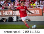 Small photo of Lisbon, Portugal - 05 07 2022: Liga Bwin game between SL Benfica and FC Porto; Grimaldo during game