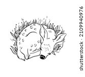 vector illustration deer line animal sleeping