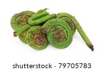 Small photo of A group of several freshly picked edible fiddle head ferns on a white background.