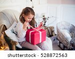 Little Girl Holding A Christmas ...