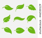 Leaves icon vector set isolated on white background. Various shapes of green leaves of trees and plants. Elements for eco and bio logos. 