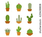 Cactus Free Stock Photo - Public Domain Pictures