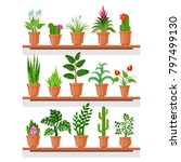 indoor plants on shelf. indoor... | Shutterstock .eps vector #797499130
