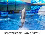 Small photo of Orlando, Florida, USA - April 22, 2012: the orca Tilikum, the killer whale, performs in the shamu show at Seaworld.