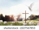 Cross symbolizing the death and resurrection of Jesus Christ, spring flowers, falling petals, bright sunlight, and doves
