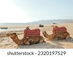 Small photo of Agadir beach wave simmer sunny day