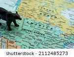 Small photo of A black bear placed on a map of the United States. a bear market, a fall in the stock market. Economic downturn, financial crisis.bearish.down trend investment,US stocks