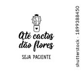 brazilian lettering.... | Shutterstock .eps vector #1899388450