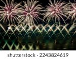 Flower like fireworks in Abu Dhabi during NYE celebrations