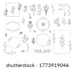 set of botanical design... | Shutterstock .eps vector #1773919046