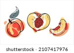 vector juicy peaches doodle... | Shutterstock .eps vector #2107417976