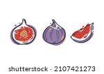vector ripe fig doodle... | Shutterstock .eps vector #2107421273