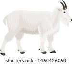 Vector Rocky Mountains Goat...