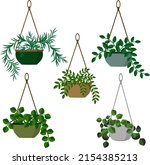simple home plants in hanging... | Shutterstock .eps vector #2154385213