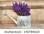 Watering Can And Lavende