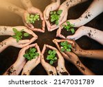 Small photo of Green and growing. Shot of a group of people each holding a plant growing in soil.