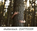 Small photo of Trees deserve love too. Shot of an unidentifiable young woman hugging a tree in the forest.