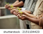 Small photo of What you nurture will grow. Closeup shot of a group of unrecognisable people holding plants growing in soil.