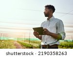 Thinking farmer with digital tablet checking sustainable farming growth, progress or preparing farm export order on tech. Serious man, gardener or greenhouse environmental scientist on a rural