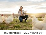 Small photo of Black woman, phone call and countryside on chicken farm with smile for live stock in the outdoors. Happy African American female farmer smiling on phone for sustainability, agriculture and animals