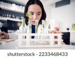 Science, botany leaf analysis and scientist study plant for pharmaceutical medicine innovation, cosmetics or natural drugs development. Laboratory test tube, 420 CBD and Asian woman research cannabis