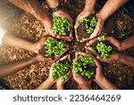 Small photo of Diverse group of people holding sustainable plants in an eco friendly environment for nature conservation. Closeup of hands planting in fertile soil for sustainability and organic farming