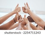 Small photo of Thumbs up, together and hands do yes in closeup for group in agreement. Hand, goal and support for team, success and teamwork in zoom of fingers for diversity, happy and solidarity for startup goal