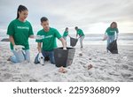 Small photo of Collaboration, charity and recycling with people on beach for sustainability, environment and eco friendly. Climate change, earth day and nature with volunteer and box for help, energy and pollution