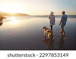 Making sure hes fit and healthy. a mature couple spending the day at the beach with their dog.