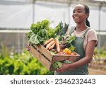 Small photo of Woman, farming and vegetables in greenhouse for agriculture, supply chain or business with green product in basket. Happy African farmer or supplier with gardening for NGO, nonprofit or food security