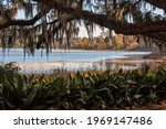 Scenic View of Lake Overstreet,  a lake in The Alfred B. Maclay State Gardens is a 1,176-acre Florida State Park, botanical garden and historic site In Tallahassee.