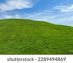 Idyllic Green Hill and Meadow Outdoor Springtime Scene
