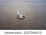 splashes of water from a stone thrown into the water