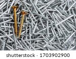 two gold screws in pile of nickel plated construction nails, Stand Out In Crowd conceptual.Business and business growth,individuality and independence.subject the personality and crowd.out the box.