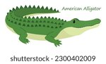 American Alligator (Alligator mississippiensis) cute animal in colorful cartoon style isolated on white background. Vector graphics. It
