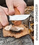 Small photo of Hands using a knife and flint to spark a fire on tinder, amidst a backdrop of autumn leaves.