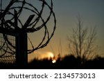 Barbed wire fence and light of...