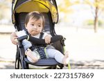 Asian baby in a stroller to the ...