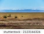 Chui steppe and Altai mountains in the vicinity of the village of Kosh-Agach. Siberia, Kosh-Agachsky district of the Altai Republic