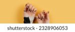 Small photo of Beautiful groomed womans hands with brown nail design on yellow background